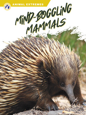 cover image of Mind-Boggling Mammals